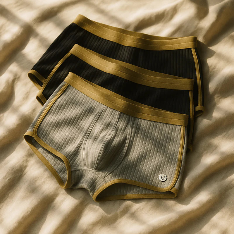 Velrani Mason Organic Cotton Boxer Briefs – Set of 3